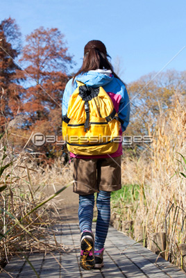 登山する女性の後ろ姿 無料写真素材 フリー素材