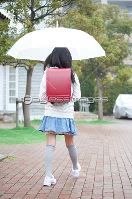 雨天時に通学する小学生女子の後姿の写真 イラスト素材 Af ペイレスイメージズ