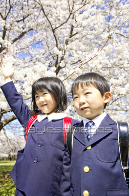桜の前に立つ小学生男女
