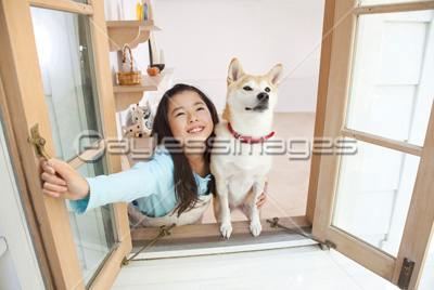 窓を開け空を見上げる柴犬と女の子の写真 イラスト素材 Af0100035864