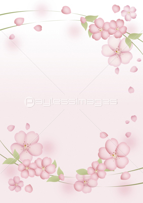 桜の和風フレーム バックグラウンド 商用利用可能な写真素材 イラスト素材ならストックフォトの定額制ペイレスイメージズ