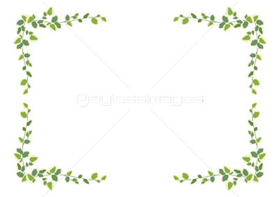 観葉植物 枠 プミラ 商用利用可能な写真素材 イラスト素材ならストックフォトの定額制ペイレスイメージズ