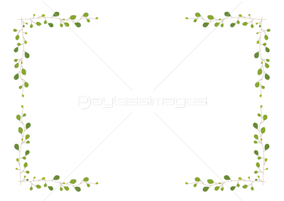 観葉植物 枠 ワイヤープランツ ストックフォトの定額制ペイレスイメージズ