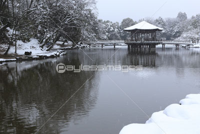 雪の奈良公園浮御堂 ストックフォトの定額制ペイレスイメージズ