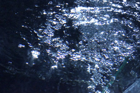 水槽の水中フィルターの泡 商用利用可能な写真素材 イラスト素材ならストックフォトの定額制ペイレスイメージズ