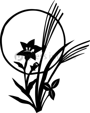 キキョウ ストックフォトの定額制ペイレスイメージズ