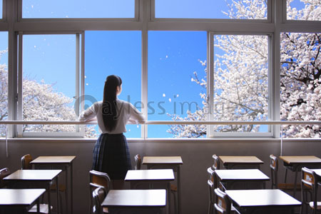 教室の窓から桜を眺める女子高生 ストックフォトの定額制ペイレスイメージズ