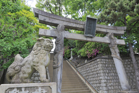 品川神社 双龍鳥居 狛犬 ストックフォトの定額制ペイレスイメージズ