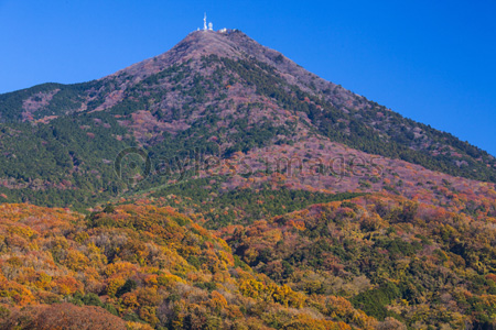 ディズニー画像のすべて トップ100筑波 山 イラスト