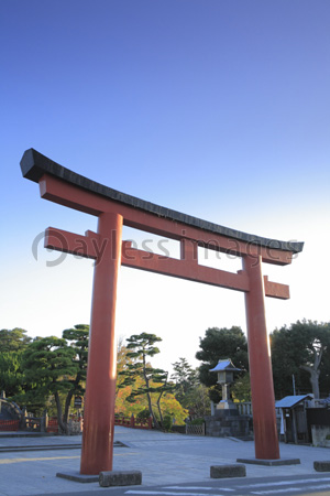 鶴岡八幡宮 三の鳥居 太鼓橋 商用利用可能な写真素材 イラスト素材ならストックフォトの定額制ペイレスイメージズ