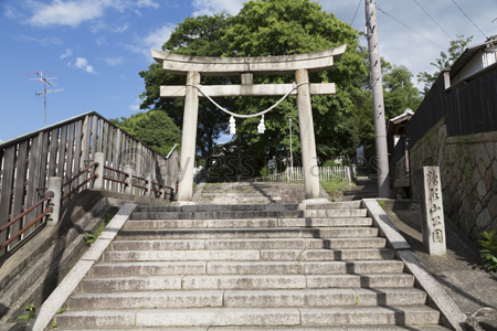 阿智神社参道の石段 商用利用可能な写真素材 イラスト素材ならストックフォトの定額制ペイレスイメージズ