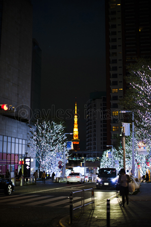 東京タワーとクリスマスイルミネーション ストックフォトの定額制ペイレスイメージズ