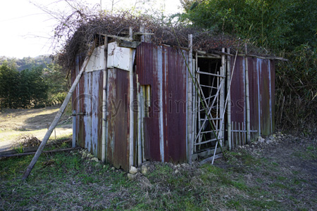 錆びたトタン小屋 ストックフォトの定額制ペイレスイメージズ