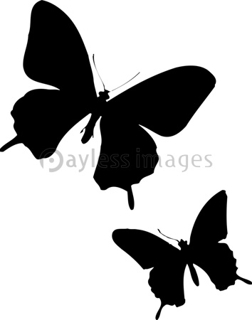 人気ダウンロード 蝶々 イラスト 白黒 ただ素晴らしい花