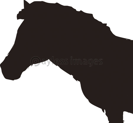 綺麗なシルエット 馬 イラスト 白黒 動物ゾーン
