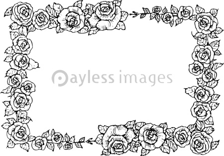 バラの長方形飾り枠 ストックフォトの定額制ペイレスイメージズ