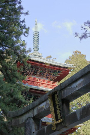 日光 東照宮 石鳥居と五重塔 商用利用可能な写真素材 イラスト素材ならストックフォトの定額制ペイレスイメージズ