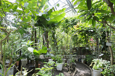 植物園温室 商用利用可能な写真素材 イラスト素材ならストックフォトの定額制ペイレスイメージズ