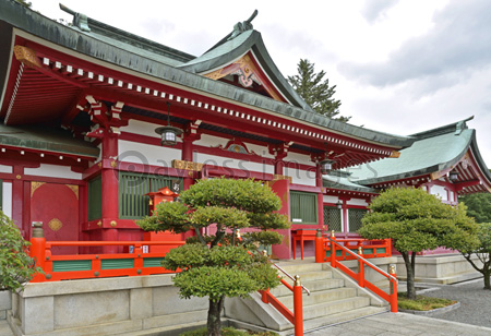 足利織姫神社 本殿 ストックフォトの定額制ペイレスイメージズ