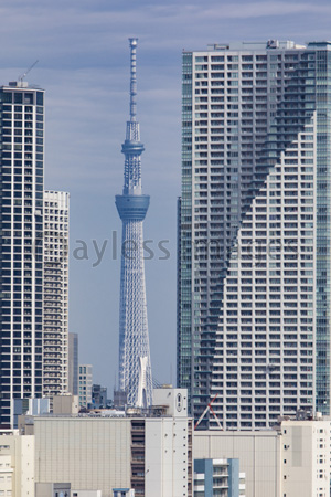 レインボーブリッジから撮った東京スカイツリー 商用利用可能な写真素材 イラスト素材ならストックフォトの定額制ペイレスイメージズ