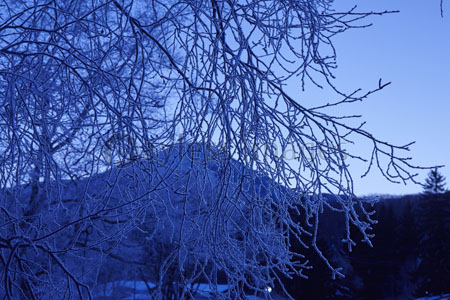 早朝の冬の白樺湖 商用利用可能な写真素材 イラスト素材ならストックフォトの定額制ペイレスイメージズ