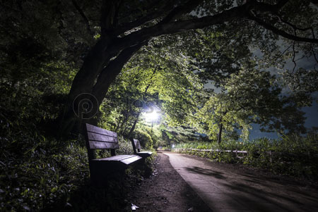 夜の公園を歩くカップル 商用利用可能な写真素材 イラスト素材ならストックフォトの定額制ペイレスイメージズ