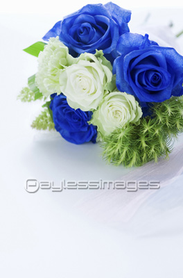 青いバラのブーケの写真 イラスト素材 Gf ペイレスイメージズ