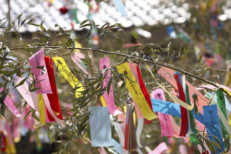 機物神社の七夕祭り ストックフォトの定額制ペイレスイメージズ