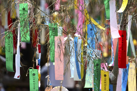 機物神社の七夕祭り ストックフォトの定額制ペイレスイメージズ