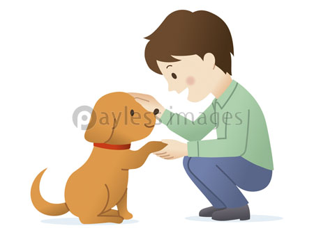 お手をする犬をなでる男性 商用利用可能な写真素材 イラスト素材ならストックフォトの定額制ペイレスイメージズ