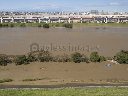 台風で大増水した荒川 東京都足立区 ストックフォトの定額制ペイレスイメージズ