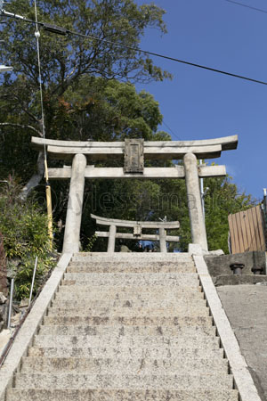 豊玉姫神社参道の石段と石鳥居 商用利用可能な写真素材 イラスト素材ならストックフォトの定額制ペイレスイメージズ