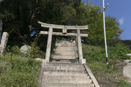 豊玉姫神社参道の石段と石鳥居 商用利用可能な写真素材 イラスト素材ならストックフォトの定額制ペイレスイメージズ