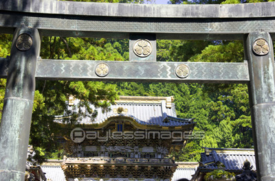 ディズニー画像のすべて エレガント日光 東照宮 イラスト