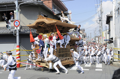 岸和田だんじり祭 ストックフォトの定額制ペイレスイメージズ