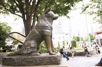 渋谷 忠犬ハチ公像 ストックフォトの定額制ペイレスイメージズ