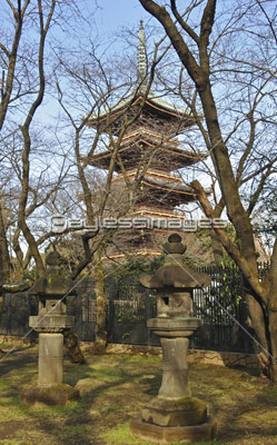 上野公園・上野東照宮石灯籠と寛永寺五重塔 - 商用利用可能な写真素材・イラスト素材ならストックフォトの定額制ペイレスイメージズ