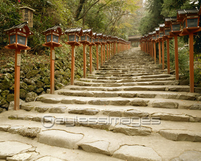 神社の階段 商用利用可能な写真素材 イラスト素材ならストックフォトの定額制ペイレスイメージズ