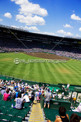 甲子園球場の写真 イラスト素材 写真素材 ストックフォトの定額制ペイレスイメージズ