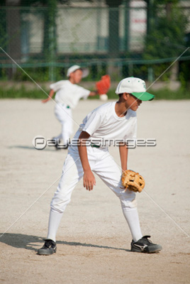 少年野球の守備練習 ストックフォトの定額制ペイレスイメージズ