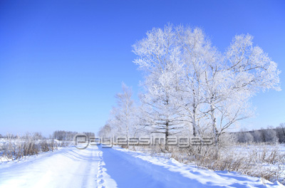 雪道と樹氷 商用利用可能な写真素材 イラスト素材ならストックフォトの定額制ペイレスイメージズ