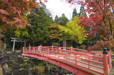 紅葉の冠岳神社 ストックフォトの定額制ペイレスイメージズ