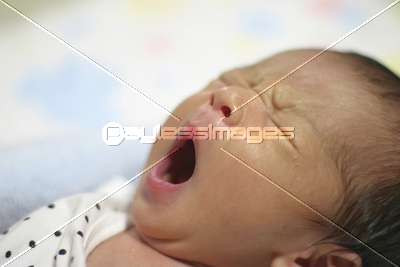 あくびをする生後1ヶ月の赤ちゃん 商用利用可能な写真素材 イラスト素材ならストックフォトの定額制ペイレスイメージズ