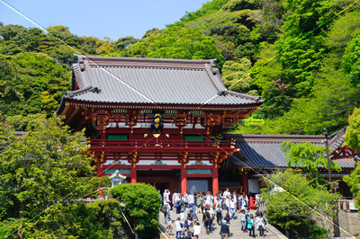 鎌倉 鶴岡八幡宮 商用利用可能な写真素材 イラスト素材ならストックフォトの定額制ペイレスイメージズ