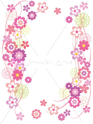 桜飾り罫縦 商用利用可能な写真素材 イラスト素材ならストックフォトの定額制ペイレスイメージズ