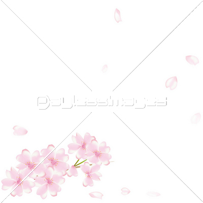 桜 舞い散る 花吹雪 商用利用可能な写真素材 イラスト素材ならストックフォトの定額制ペイレスイメージズ