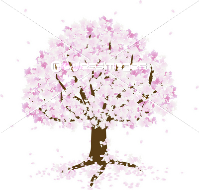 桜 ソメイヨシノ 桜の木 舞い散る 花びら ストックフォトの定額制ペイレスイメージズ
