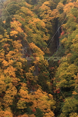 紅葉の松川渓谷 八滝 ストックフォトの定額制ペイレスイメージズ