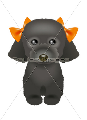 黒い犬の写真 イラスト素材 写真素材 ストックフォトの定額制ペイレスイメージズ