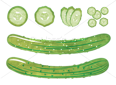 水彩風のきゅうり 商用利用可能な写真素材 イラスト素材ならストックフォトの定額制ペイレスイメージズ